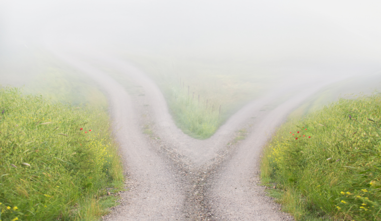 instagram monetization in 2026 subscriptions vs gifts vs bonuses vs brcand deals (what pays, what scales)