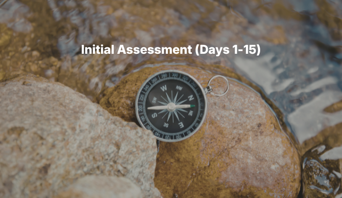 initial assessment[1]